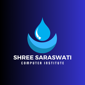 SHREE SARASWATI COMPUTER INSTITUTE