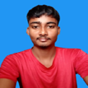MD RAJU ANSARI