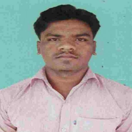 Profile picture of RAMANUJA NAIK