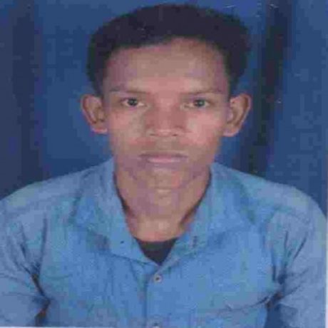 Profile picture of BALARAM NAIK