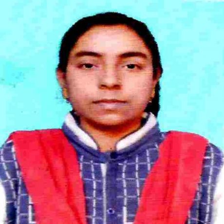 Profile picture of NIKU KUMARI