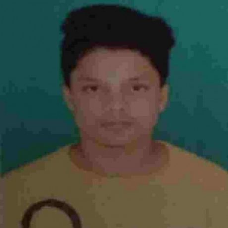 Profile picture of MD NASIM ANSARI