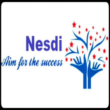 Profile picture of NAINS ENTREPRENEUR SKILL DEVELOPMENT INSTITUTE