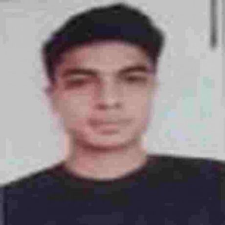 Profile picture of NUR AHMED