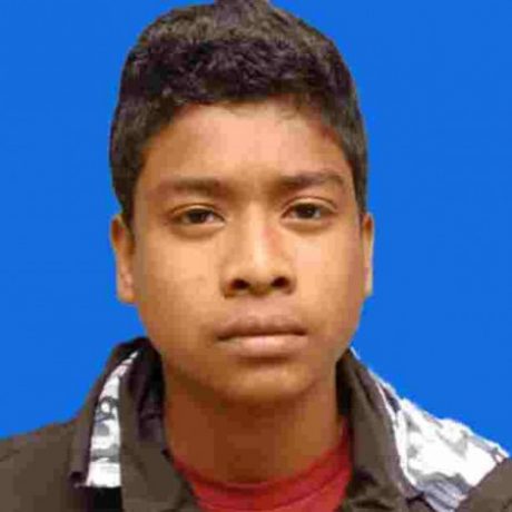 Profile picture of PARTOSH BISWAS