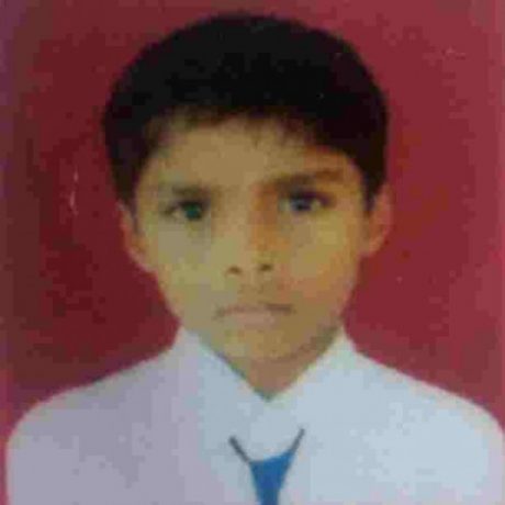 Profile picture of PRAJWAL MESHRAM