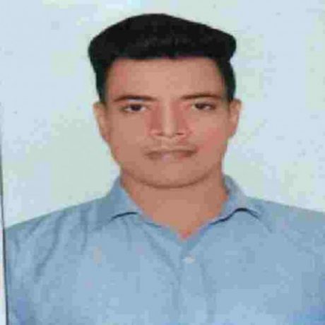 Profile picture of VIVEK BHARTI